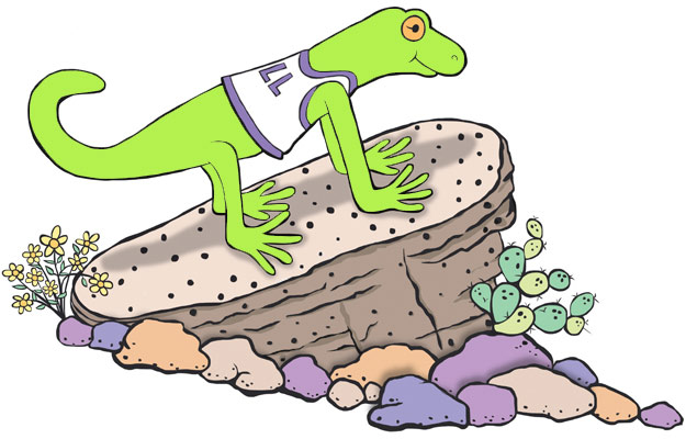 Lizard on a rock illustration